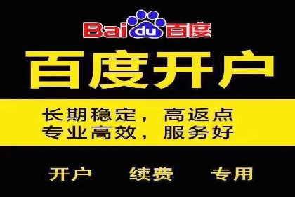 专业SEM托管如何助力电商行业增长？——案例分析